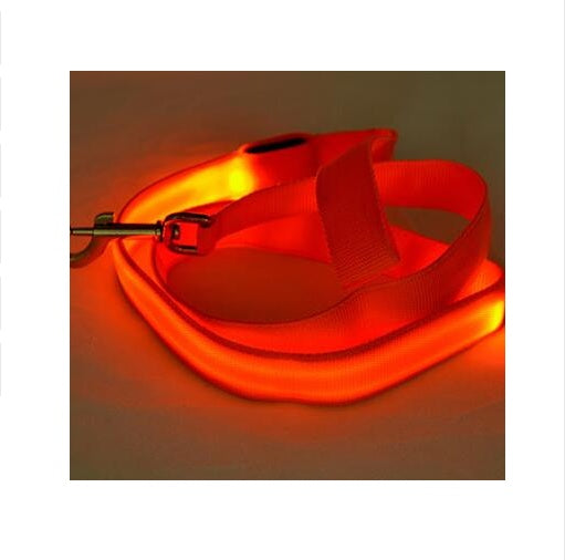 Guinzaglio LED Illuminato