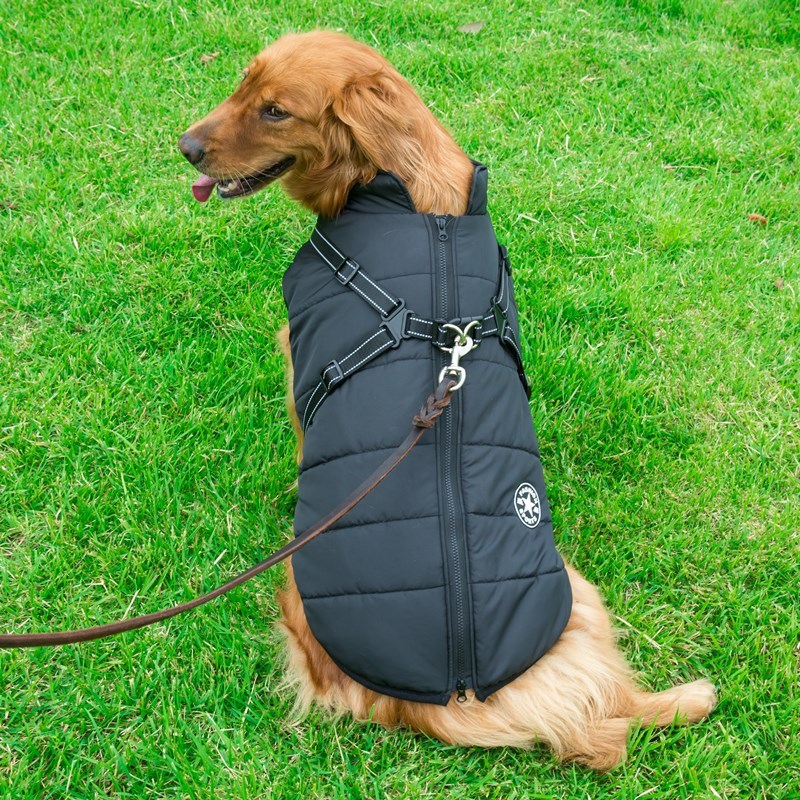 Gilet impermeabile per cani
