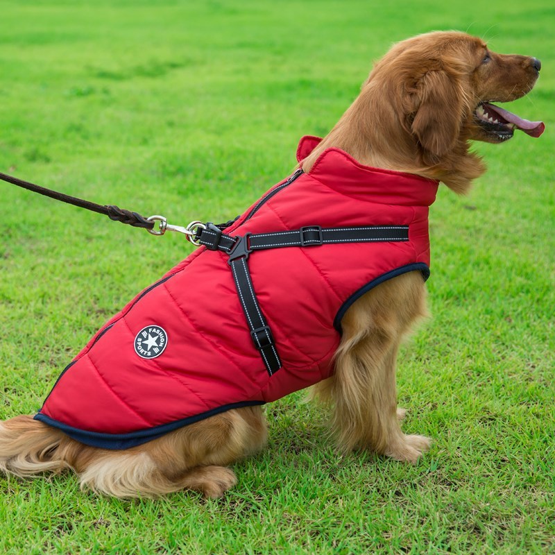 Gilet impermeabile per cani