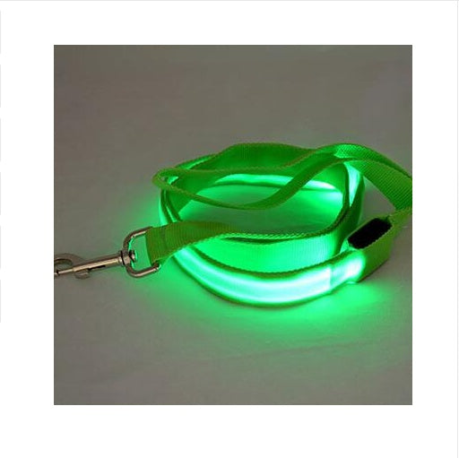 Guinzaglio LED Illuminato