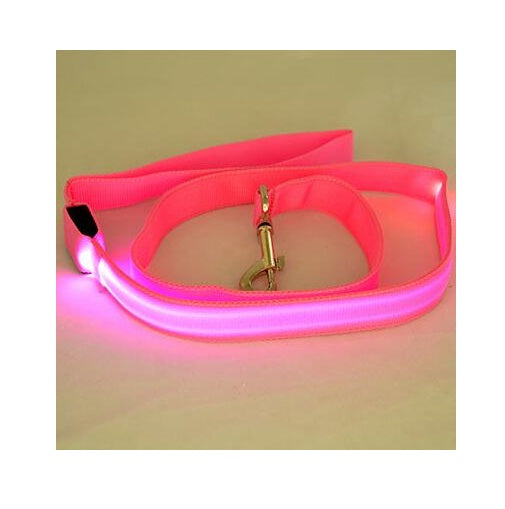 Guinzaglio LED Illuminato