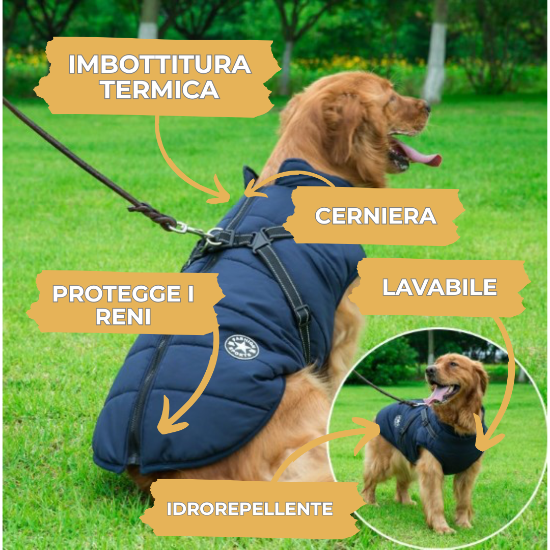 Gilet impermeabile per cani