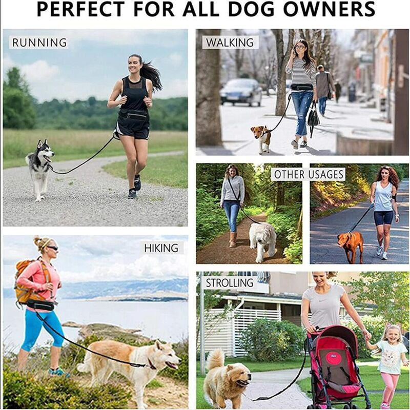 Guinzaglio a Mani Libere per Jogging ALL-IN-ONE