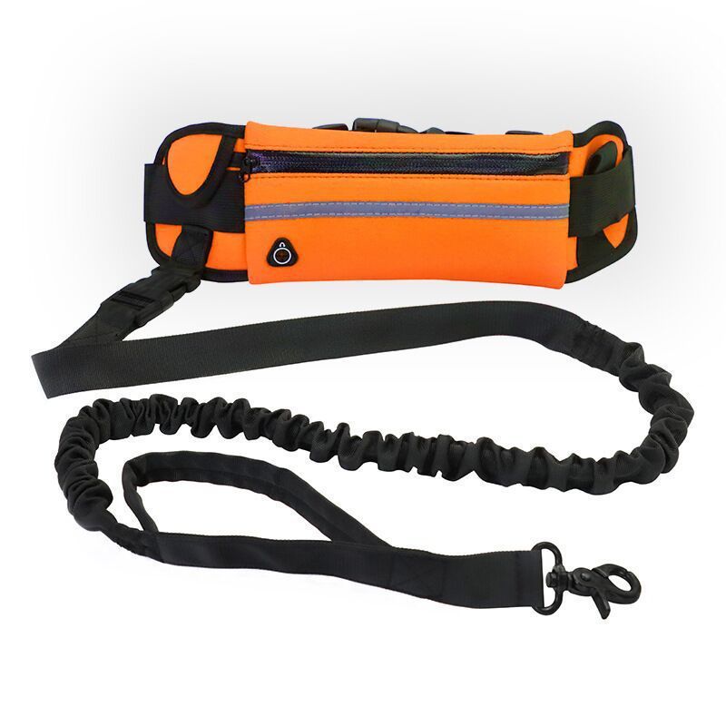 Guinzaglio a Mani Libere per Jogging ALL-IN-ONE