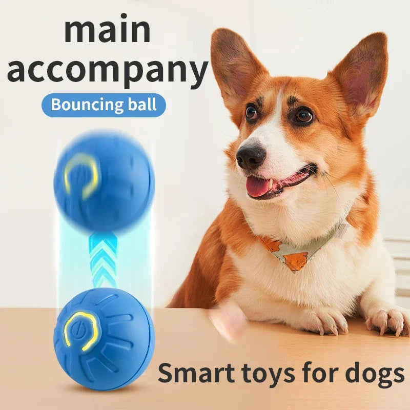 Palla Intelligente Smart per Cani e Gatti