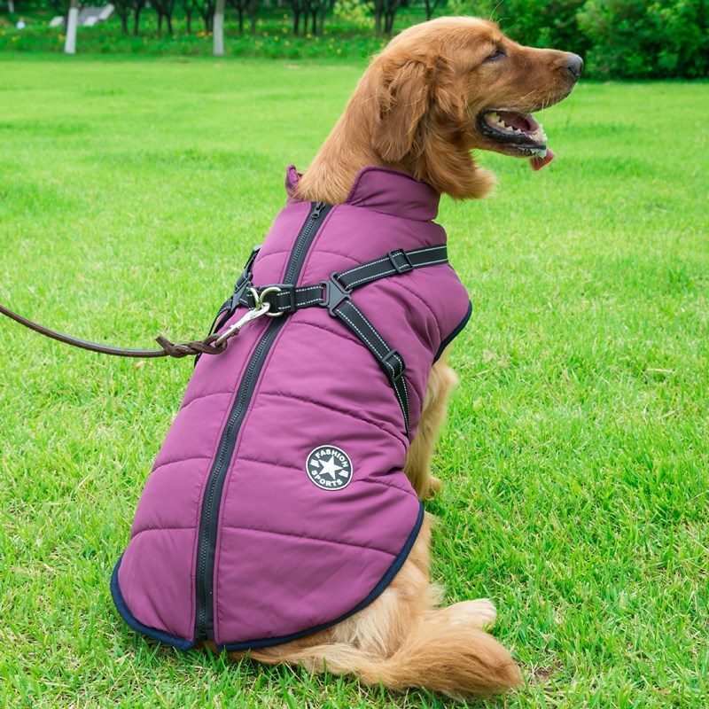 Gilet impermeabile per cani