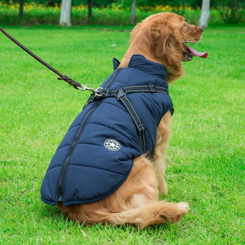 Gilet impermeabile per cani