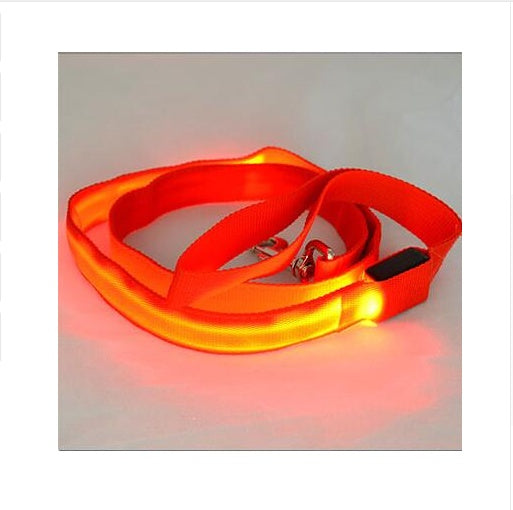 Guinzaglio LED Illuminato