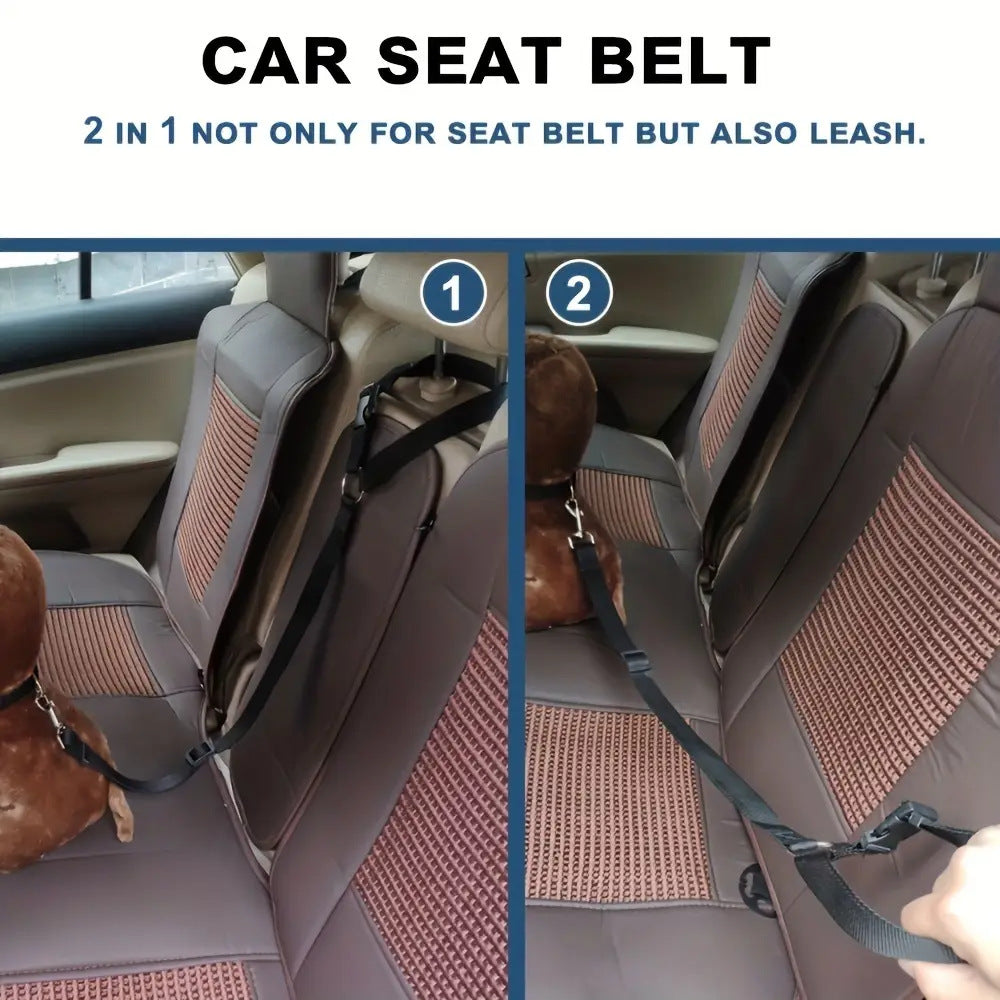 Guinzaglio di Sicurezza in Auto