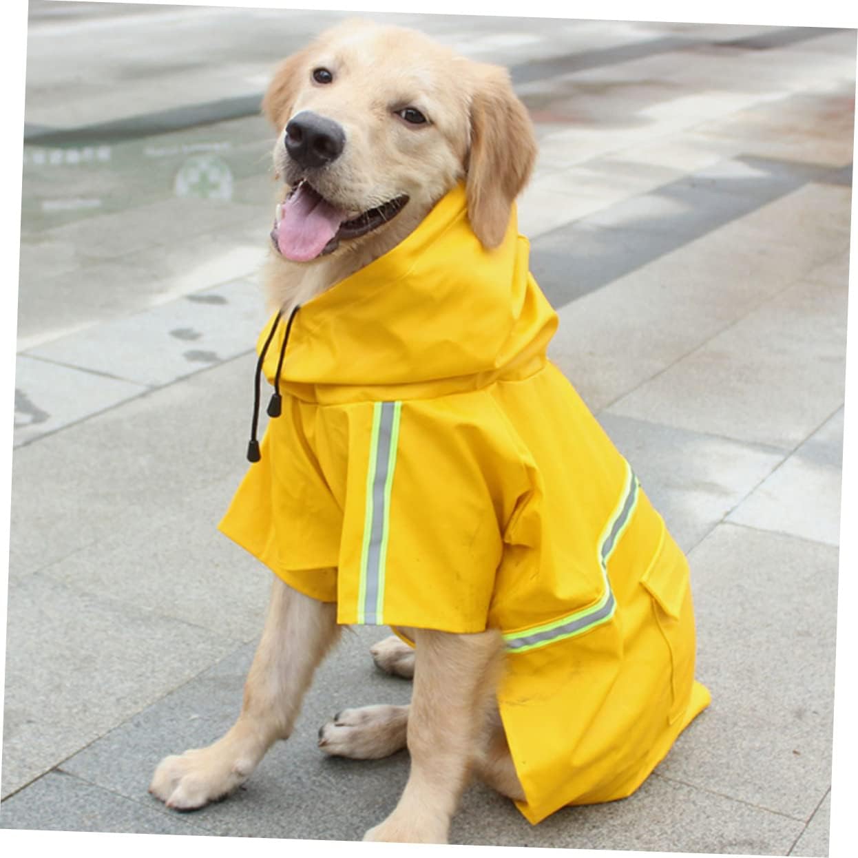 Impermeabile anti pioggia per cani