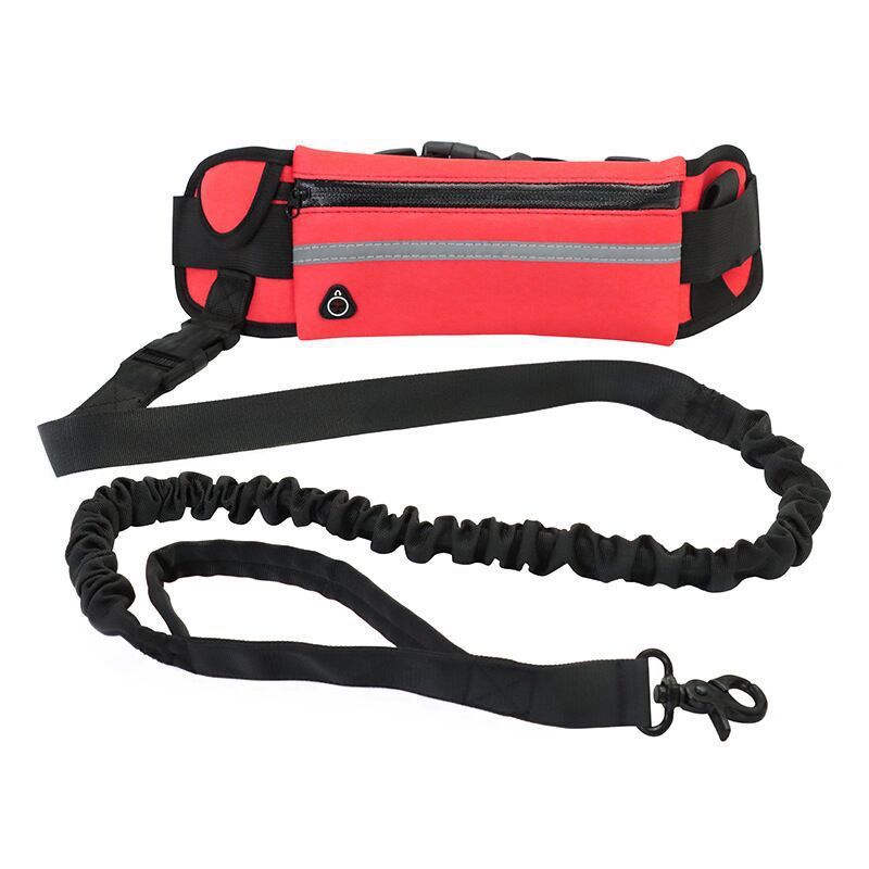 Guinzaglio a Mani Libere per Jogging ALL-IN-ONE
