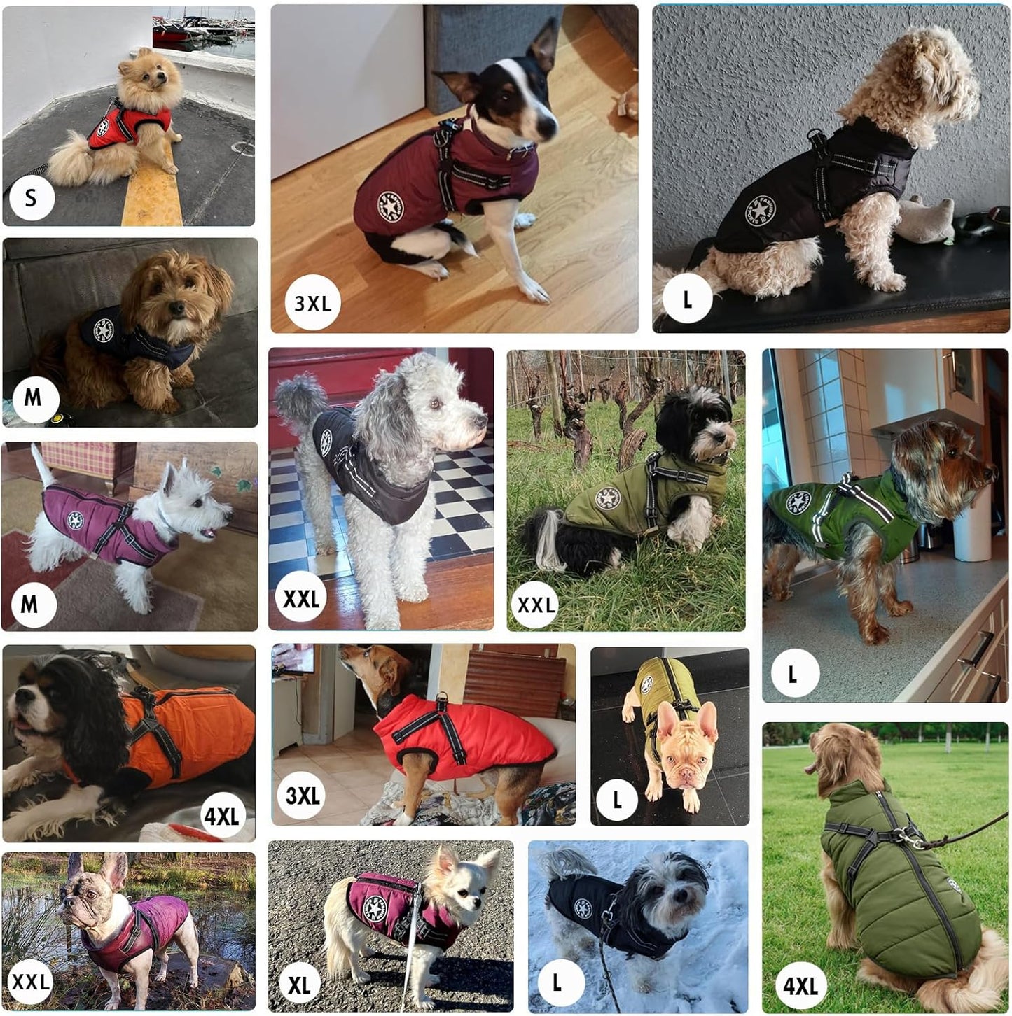 Gilet impermeabile per cani
