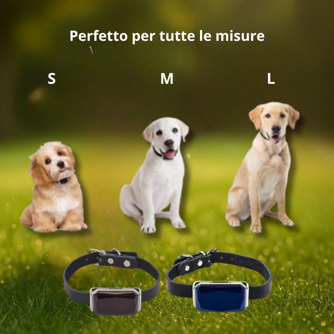 Localizzatore GPS per Cani e Gatti|Anti-Smarrimento