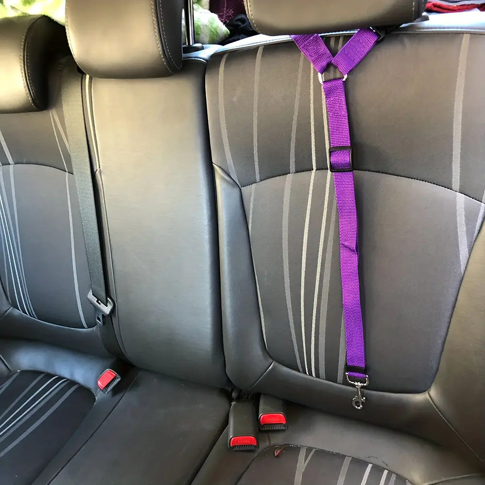 Guinzaglio di Sicurezza in Auto