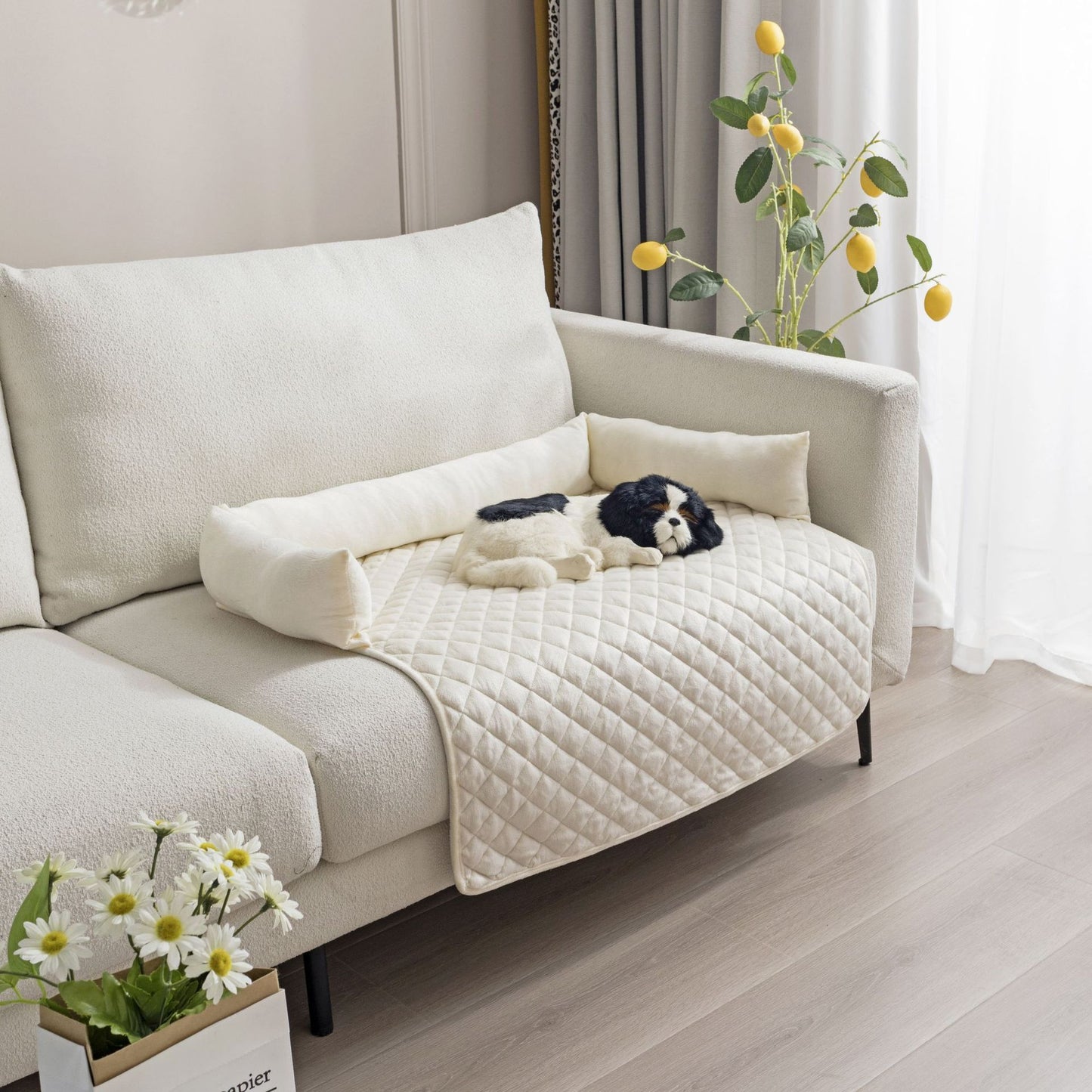 Cuccia per Cani e Gatti da Divano