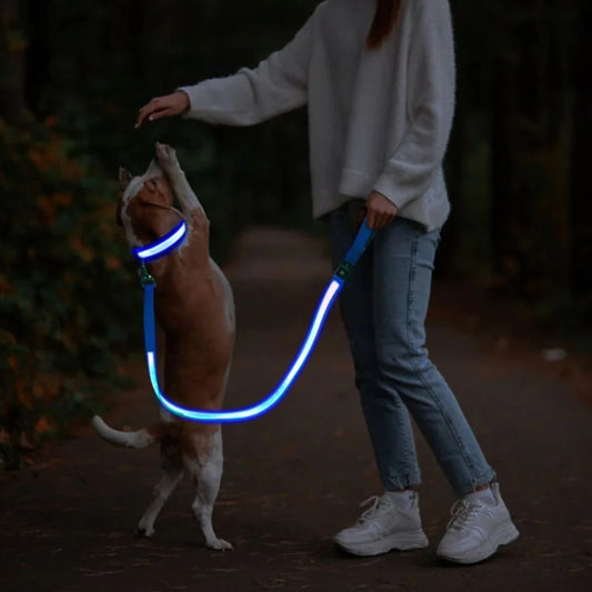 Guinzaglio LED Illuminato