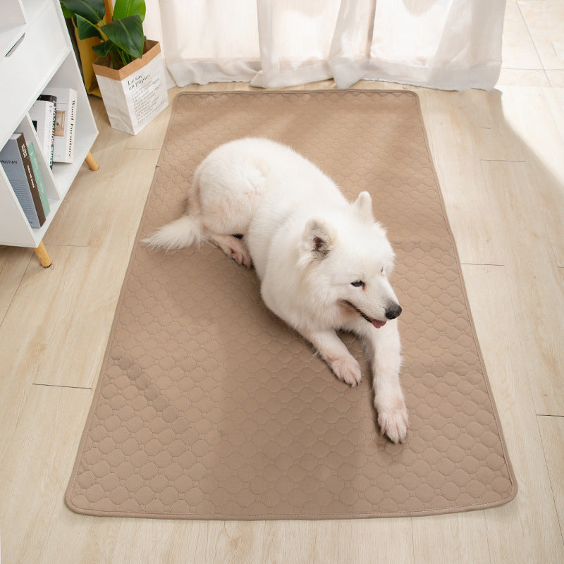 Tappetino Igienico Lavabile Per Cani