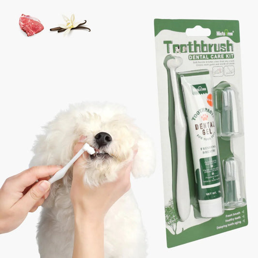 Set Pulizia dentale per Cani e Gatti