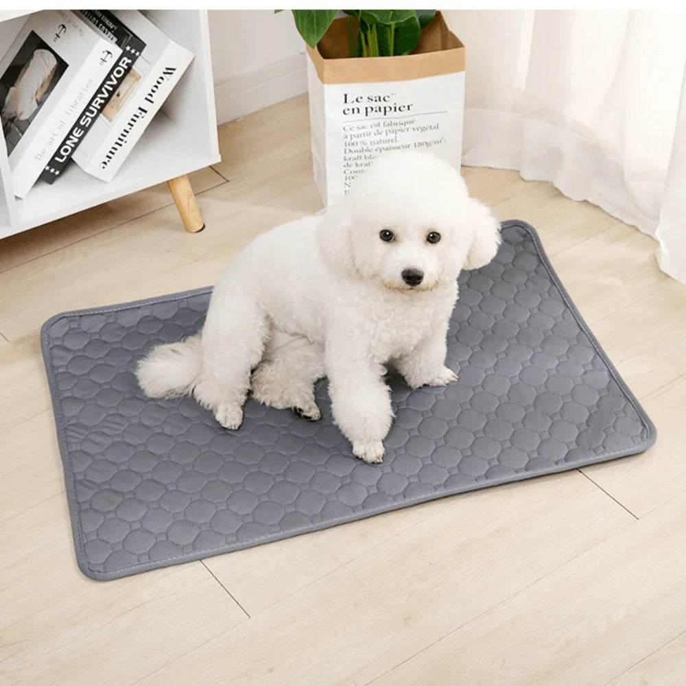 Tappetino Igienico Lavabile Per Cani