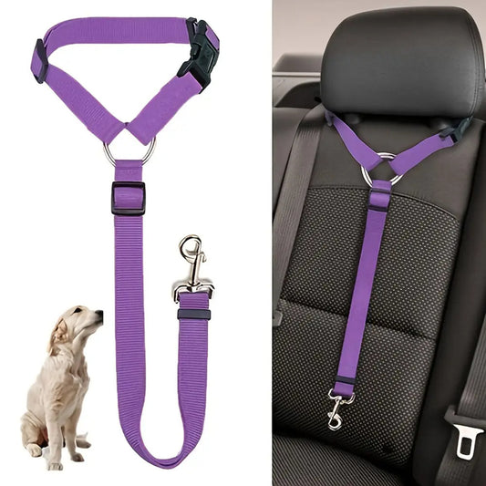 Guinzaglio di Sicurezza in Auto