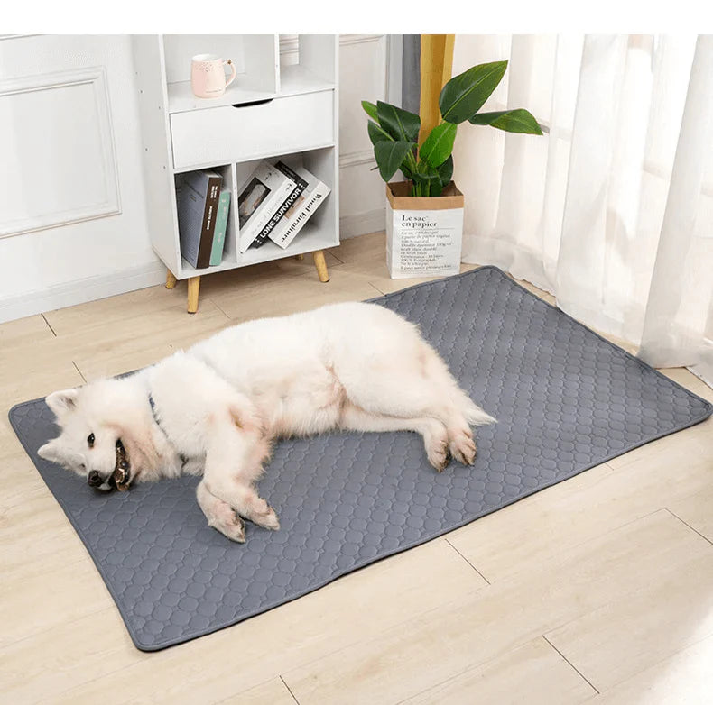 Tappetino Igienico Lavabile Per Cani