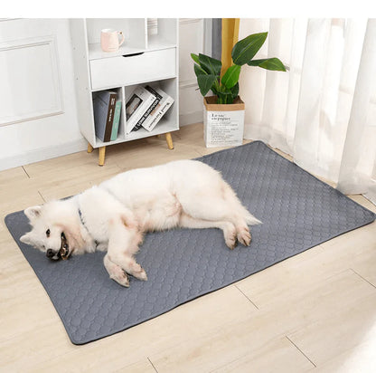 Tappetino Igienico Lavabile Per Cani