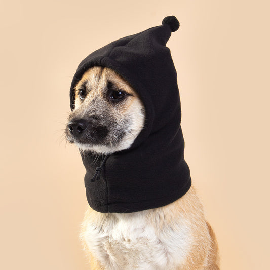 Cappello per Cani