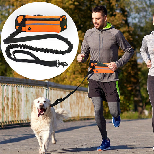Guinzaglio a Mani Libere per Jogging ALL-IN-ONE